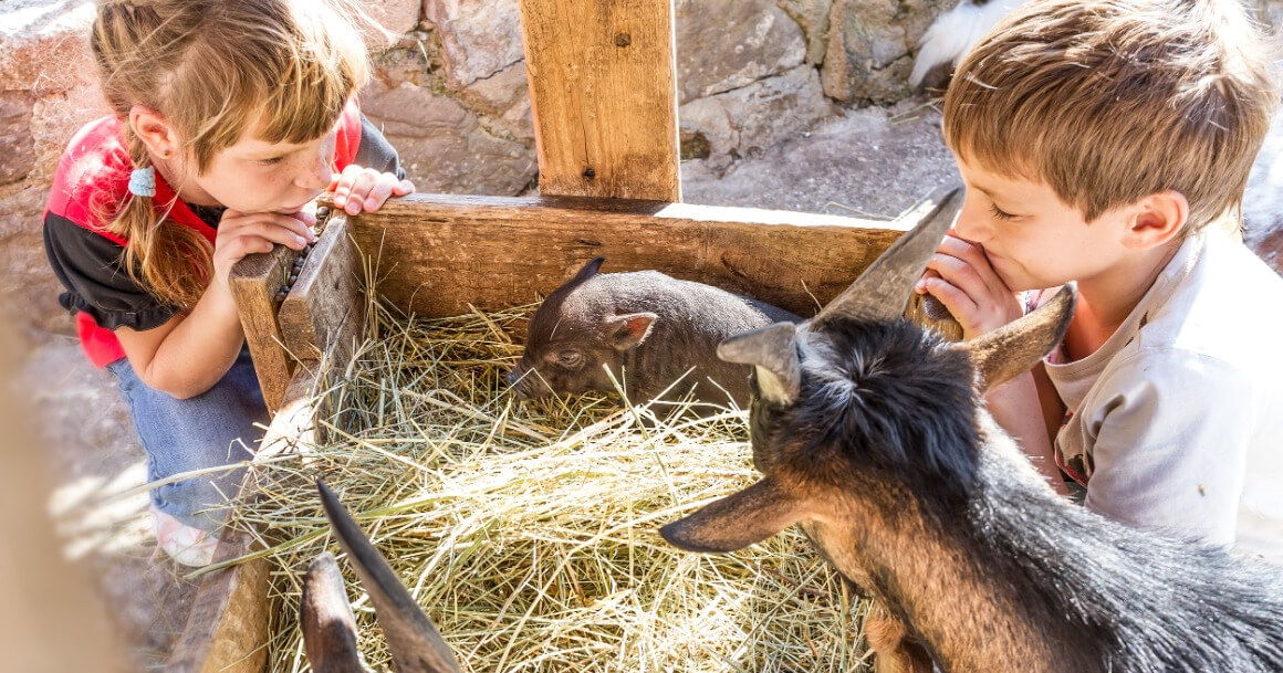 ouvrir une ferme pédagogique