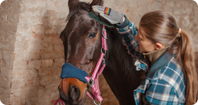 formation-professionnelle-metiers-animaliers