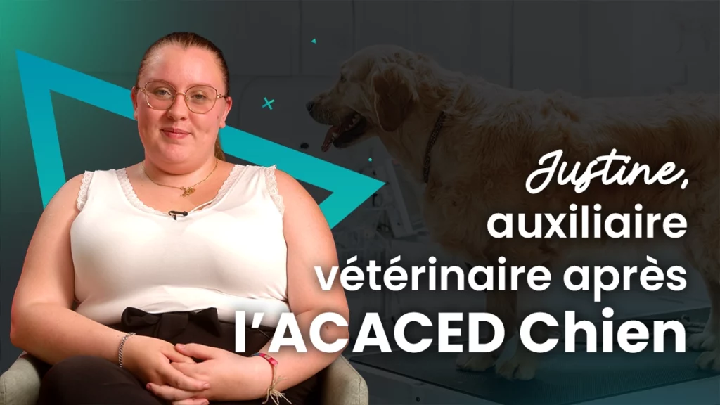 Avis Justine élève ACACED Chien