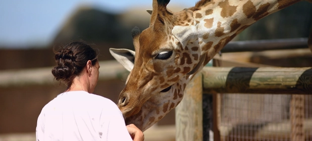 metiers-animaliers-nos-formations