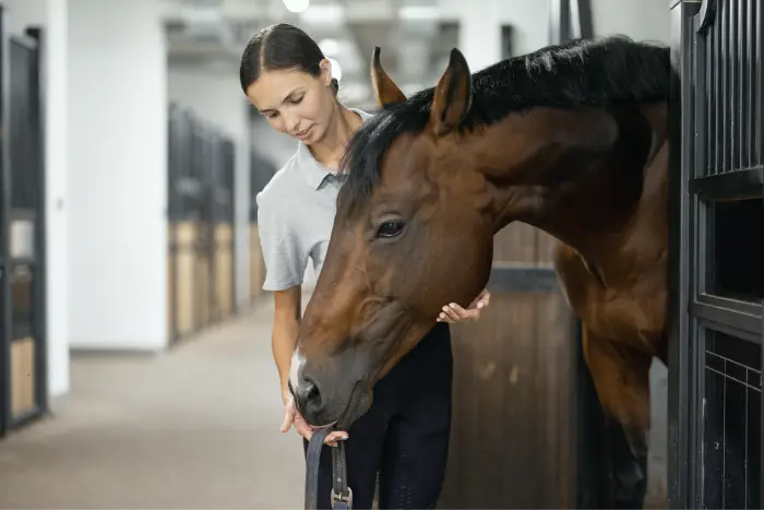 Carrière cavalier soigneur