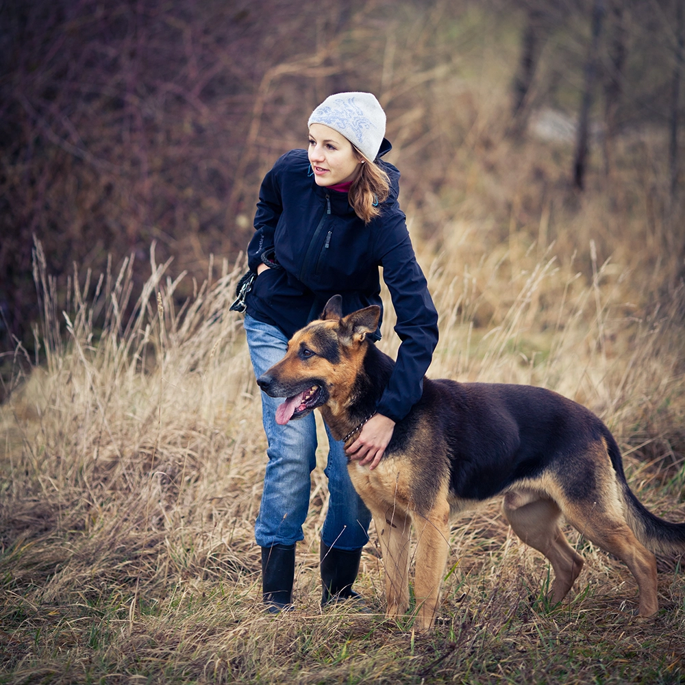 dresseur-canin